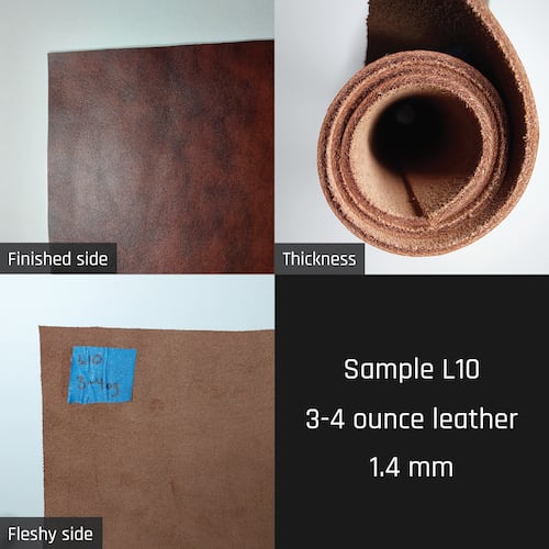 Sample L10 Sample L10