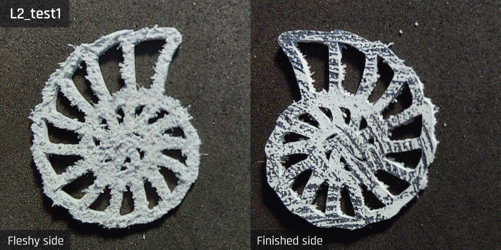 Results-image-L2_test1 Cut resulting from test 1 for sample L2.