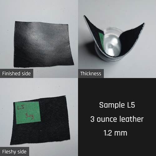 Sample L4 Sample L4