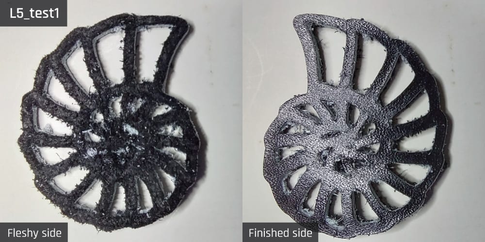 Results-image-L5_test1 Cut resulting from test 1 for sample L5.