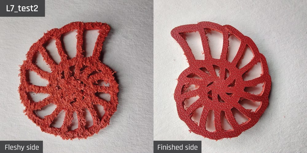 Results-image-L7_test2 Cut resulting from test 2 for sample L7.