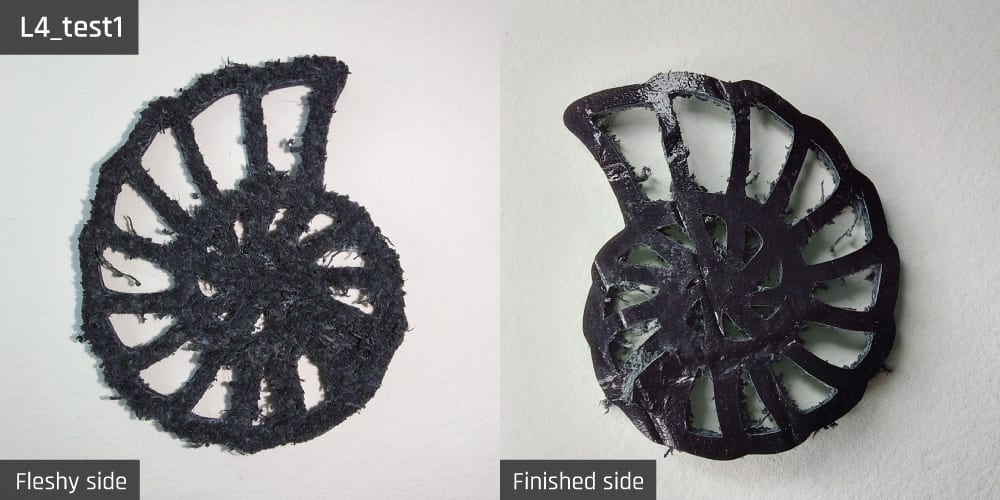 Results-image-L4_test1 Cut resulting from test 1 for sample L4.