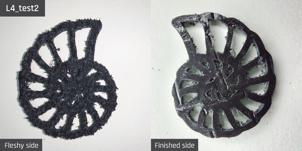 Results-image-L4_test2 Cut resulting from test 2 for sample L4.