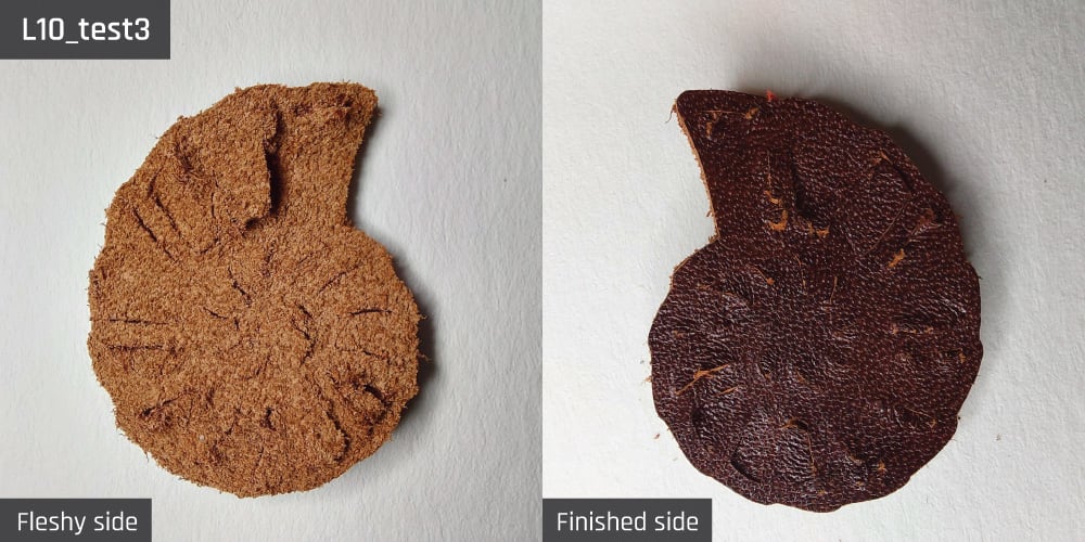 Results-image-L10_test3 Cut resulting from test 3 for sample L10.