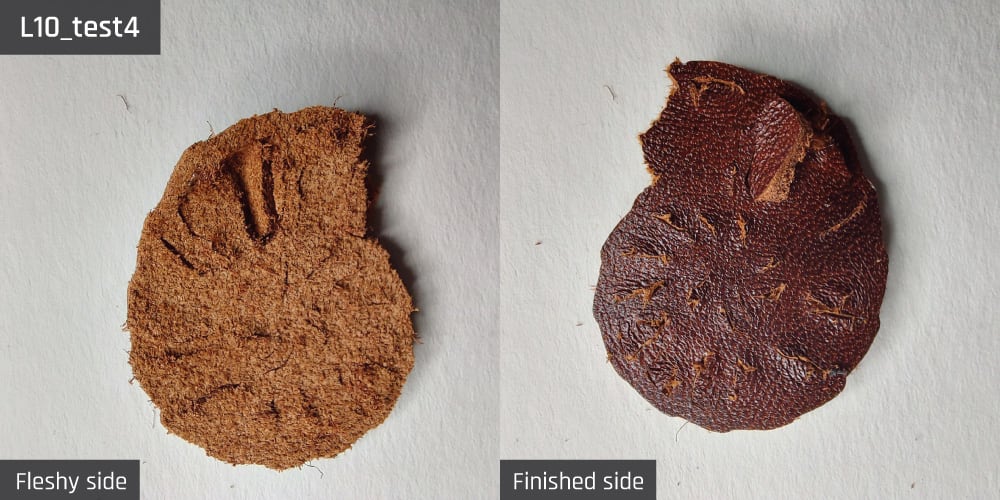 Results-image-L10_test4 Cut resulting from test 4 for sample L10.