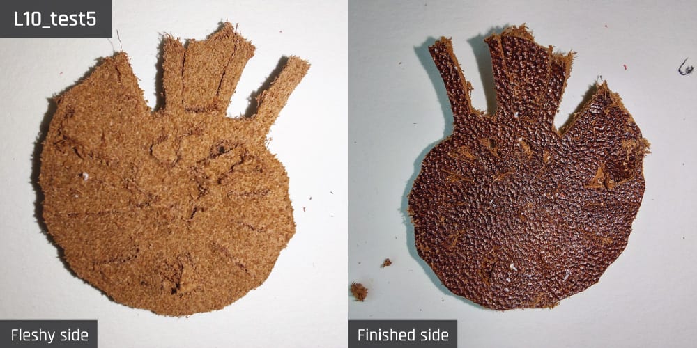 Results-image-L10_test5 Cut resulting from test 5 for sample L10.