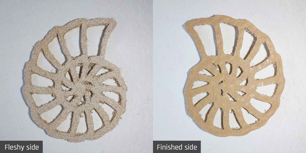 Test 1 results Test 1 results