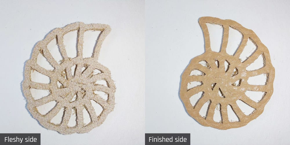 Test 2 results Test 2 results