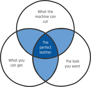 venn diagram - choosing leather