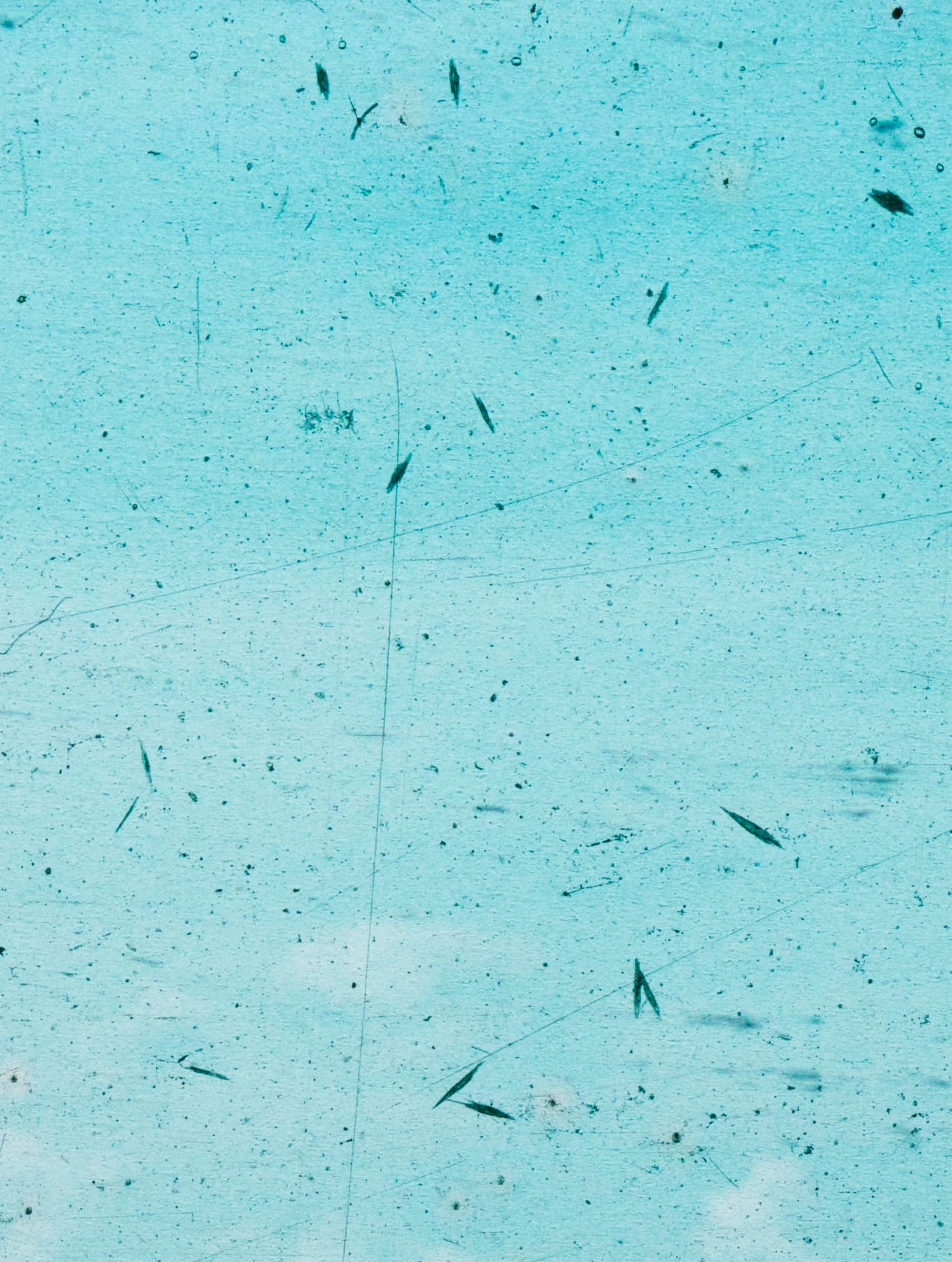 Constanta (Horst Grund, 1941), 2019. Pigment print, 35 x 26,2 cm. From the series Agfacolor – Enlarged archival color film.