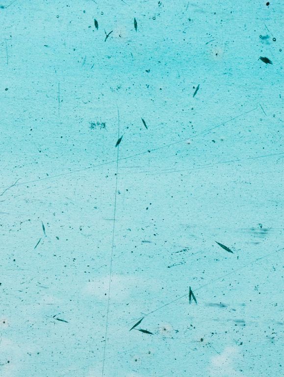 Pigmentdruck mit dem Titel 'Konstanza (Horst Grund, 1941)', 2019