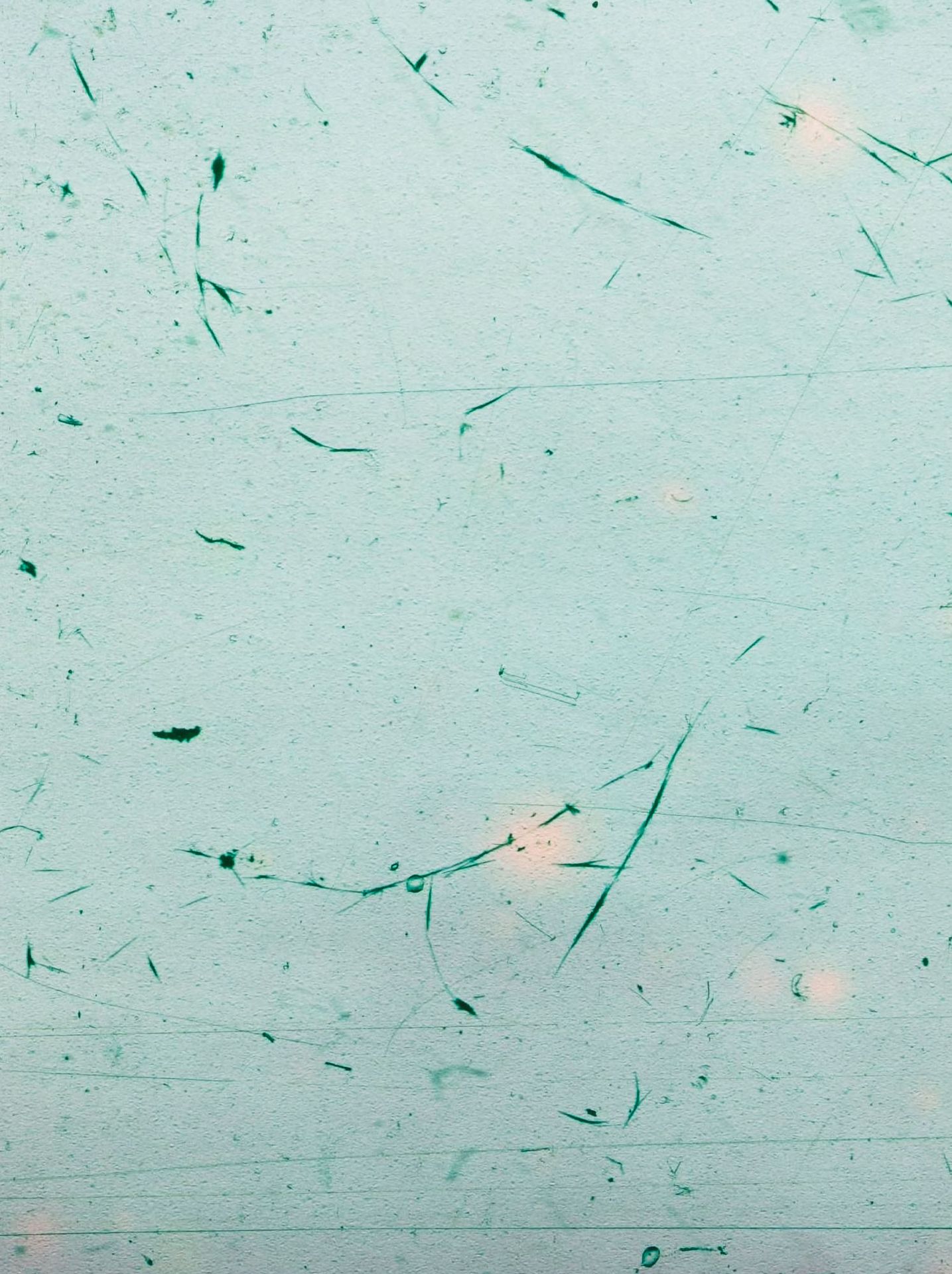 Black Sea II (Horst Grund, 1941), 2018. Pigment print, 48 x 36 cm. From the series Agfacolor – Enlarged archival color film.