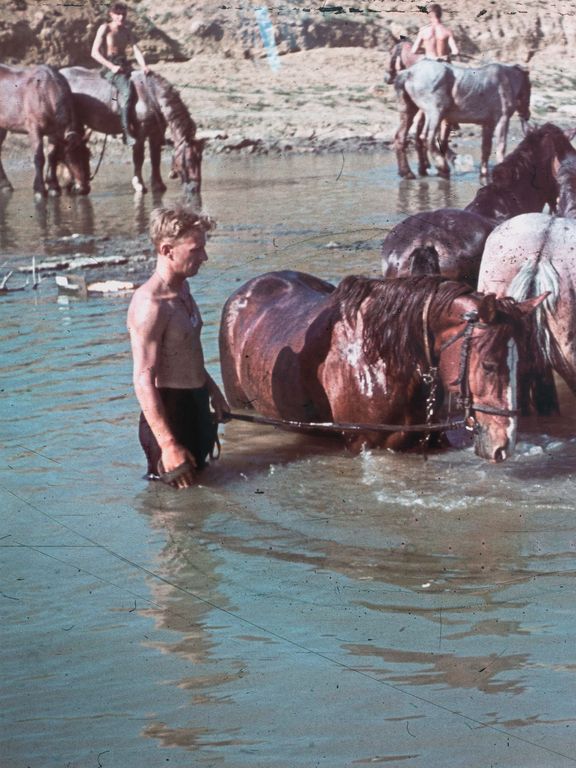 Pigment print titled 'Crimea (Horst Grund, 1942)', 2019