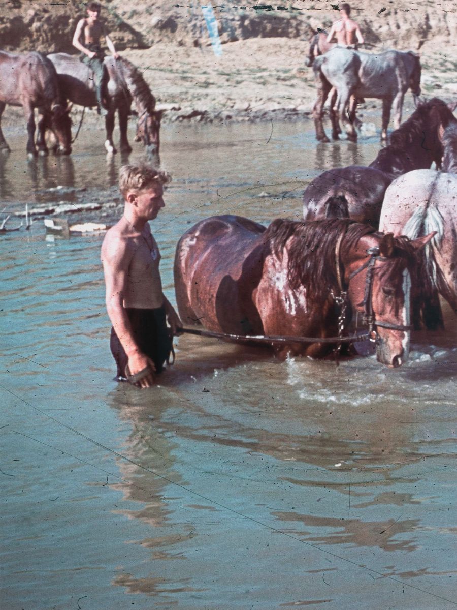 Pigment print titled 'Crimea (Horst Grund, 1942)', 2019, from the series Agfacolor