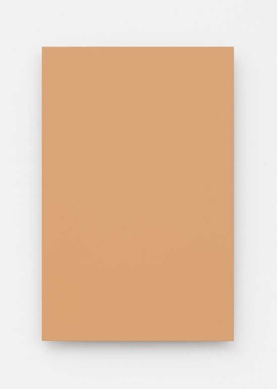 Laquer on aluminum titled 'Sand Yellow', 2018, from the series RAL