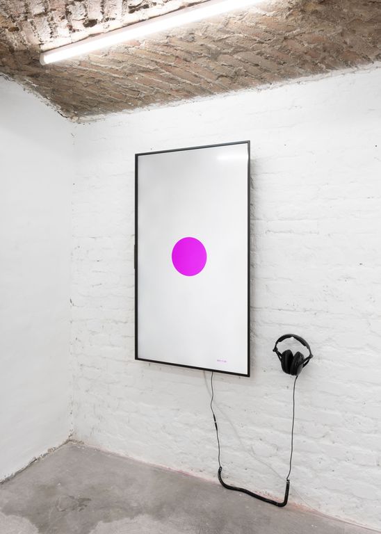 Installation view of Homeostasis at Heit Berlin, 2019