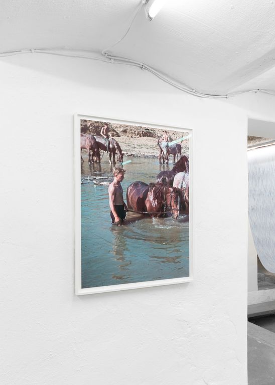 Installation view of Homeostasis at Heit Berlin, 2019