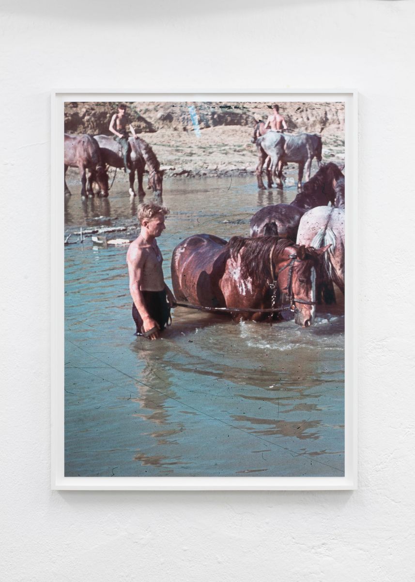 Pigment print titled 'Crimea (Horst Grund, 1942)', 2019, from the series Agfacolor - Detail 1
