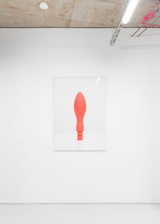 Installation view of A:prés D:éssert at A:D: Curatorial, 2023