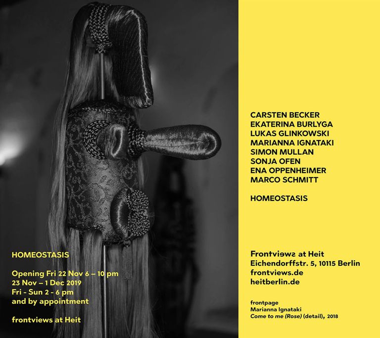 Flyer for Homeostasis, Frontviews at Heit