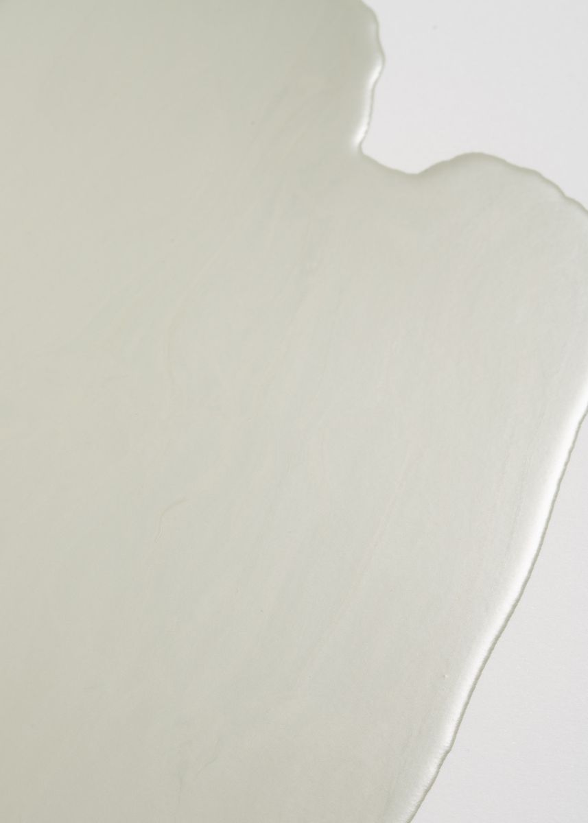 Chrome Grey 0219, 2025. Enamel on screen-print paper, 35 x 25 cm. - Detail 1