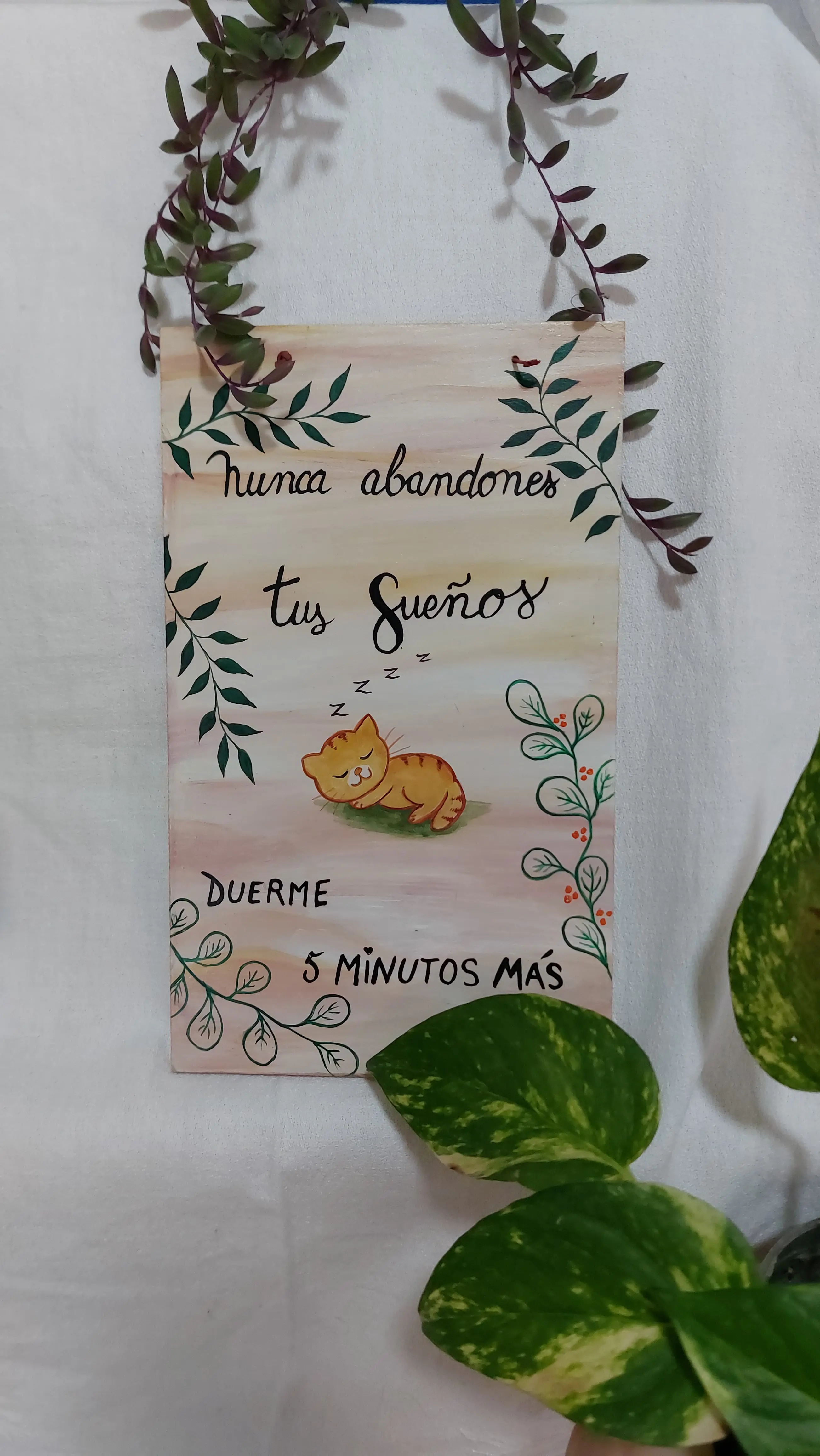 Cuadro pintado a mano decorado y con frase: "Nunca abandones tus sueños... duerme 5 minutos más"