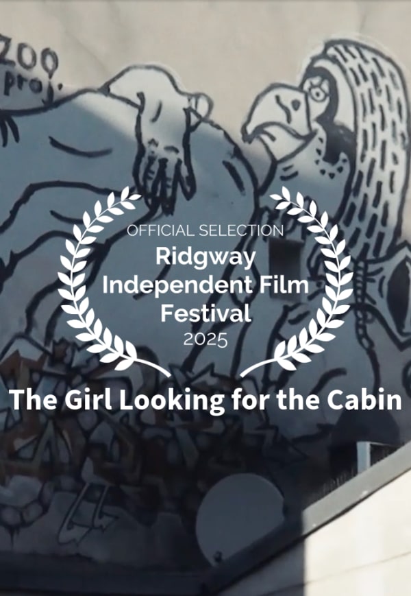The Girl Looking for the Cabin