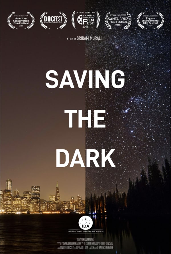 Saving the Dark