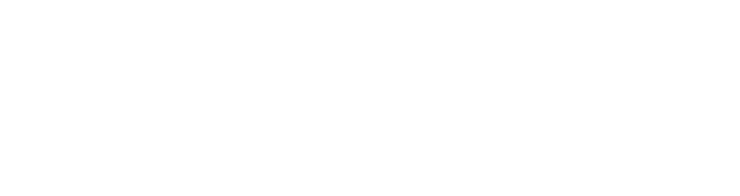 RegFi