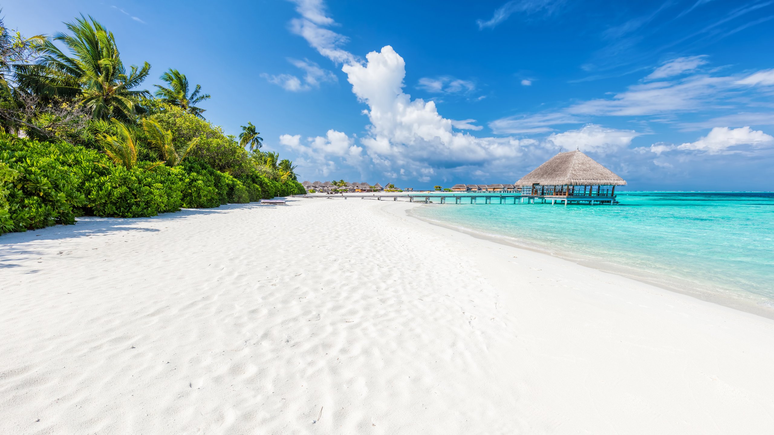 When to Sail in April | Y.CO