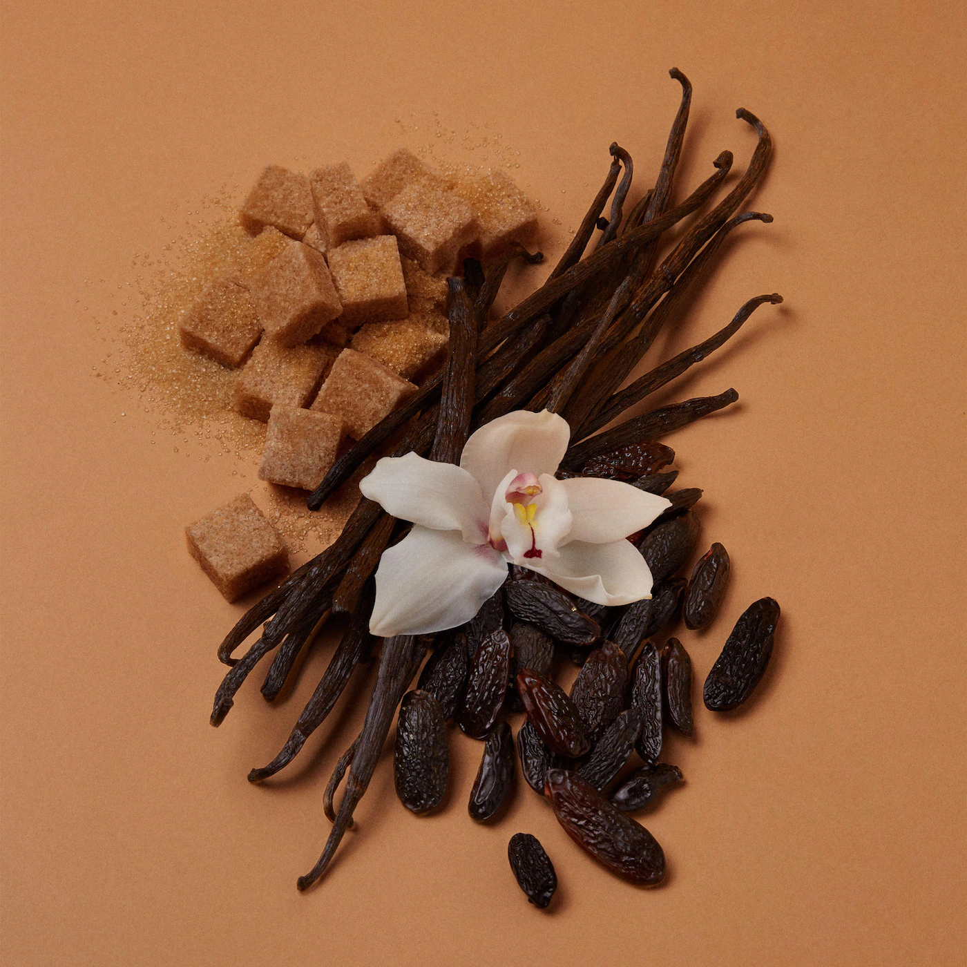 KAYALI VANILLA