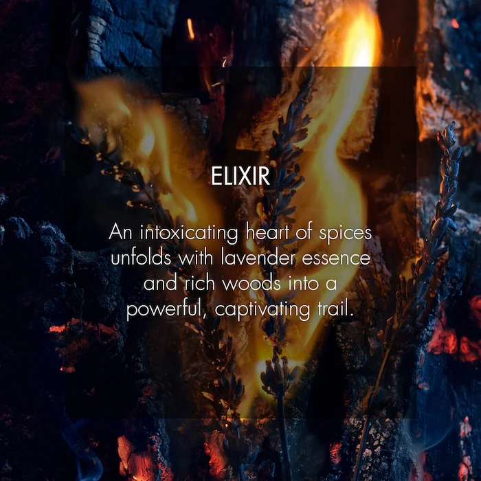 DIOR Sauvage Elixir