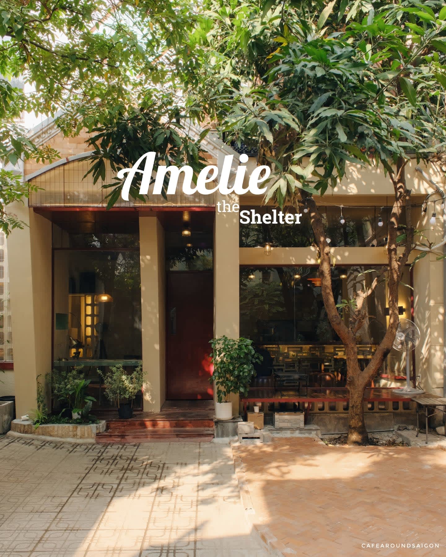 Amelie the Shelter