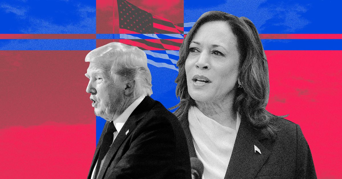 Cover Image for Trump afirma erróneamente que Kamala Harris utilizó inteligencia artificial para inflar la asistencia a su mitin.