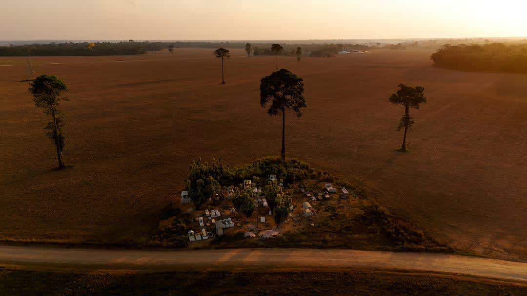 Brazil Court Ruling Puts Amazon Soy Moratorium at Risk