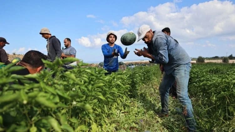 South American Labor and Social Welfare Alliance Ratifies Regional Pension Mobility Accord for Transnational Migrant Workers