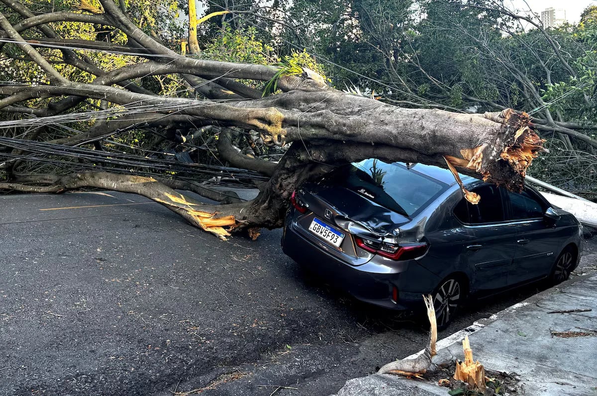 São Paulo Plunged into Chaos as Destructive Spring Gale Leaves 1.6 Million Without Power and Triggers Concession Showdown with Enel