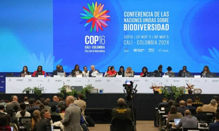 Colombia Finalizes Historic Preparations for UN COP16 Biodiversity Summit in Cali Under High Security and Indigenous Leadership
