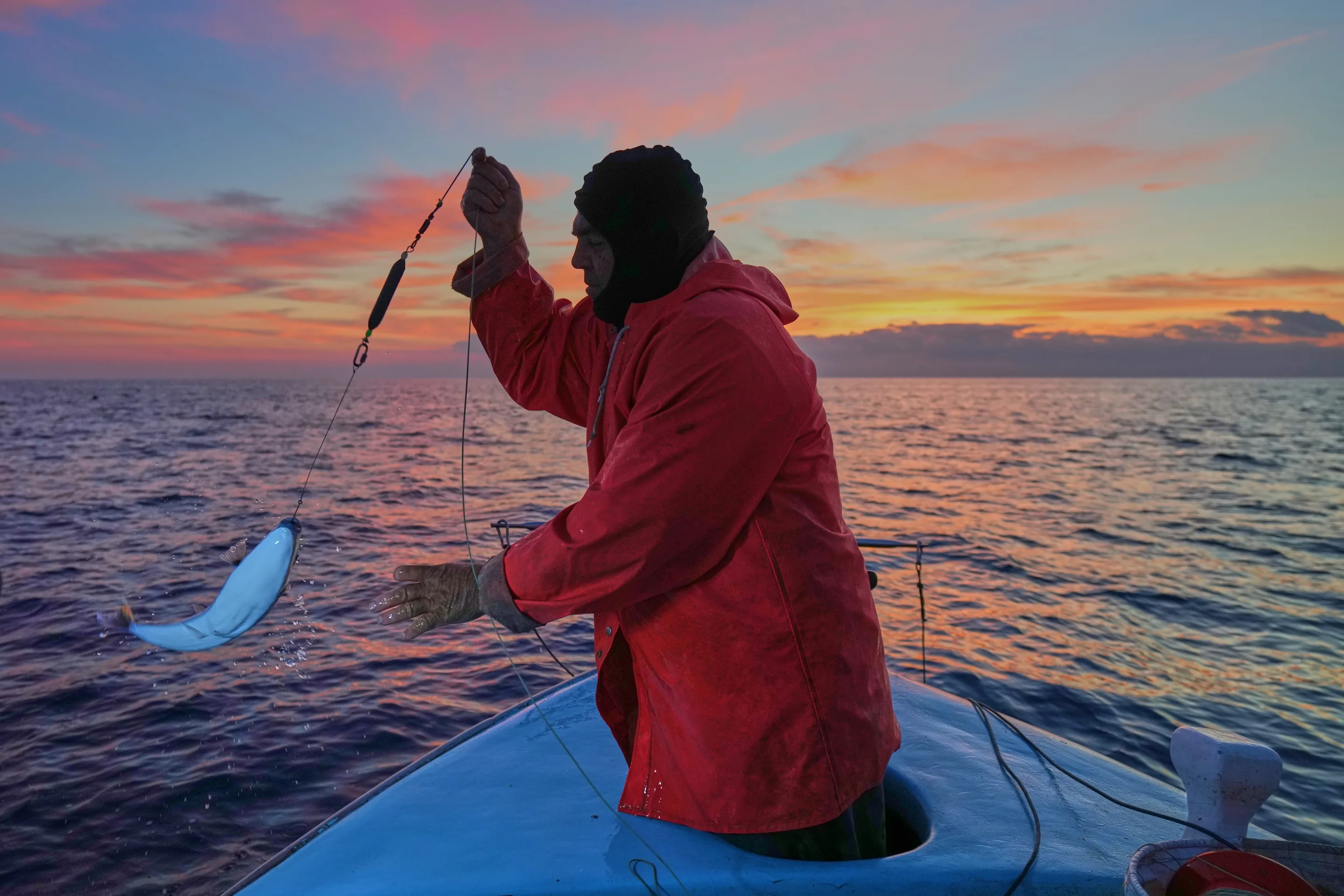 Invasive marine species spreading in the Mediterranean Sea due to warming waters