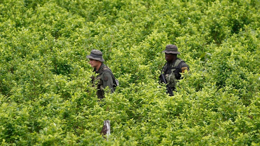 Colombia’s cocaine trade reportedly exceeds oil exports in value according to a new study.