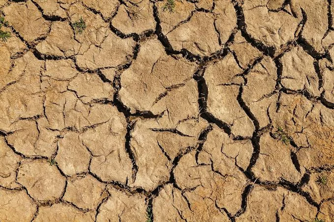Agricultural relief and emergency humanitarian supplies mobilized for drought-hit Central American farming communities.