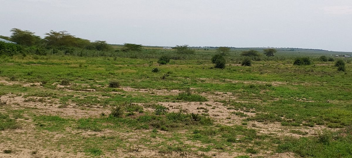 Nawiri Phase 2 Gallery