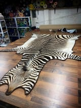 A zebra skin rug with professionally whipped edging, laid out in a workshop with colourful yarn spools in the background.