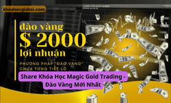 Khóa Học Magic Gold Trading – Bí Quyết Đào Vàng Trên Thị Trường Tài Chính