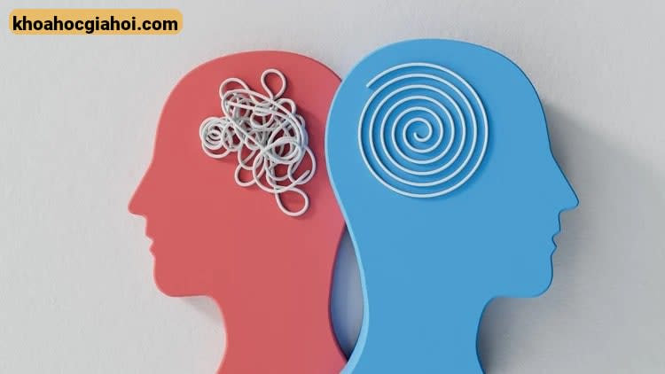 Khóa Học Nhập Môn Tâm Lý Học Cơ Bản – Psychology Fundamental 101