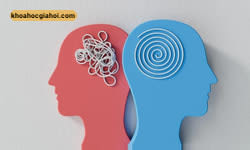 Khóa Học Nhập Môn Tâm Lý Học Cơ Bản – Psychology Fundamental 101