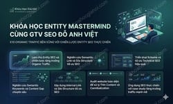 Khóa Học Entity Mastermind Cùng Gtv Seo Đỗ Anh Việt