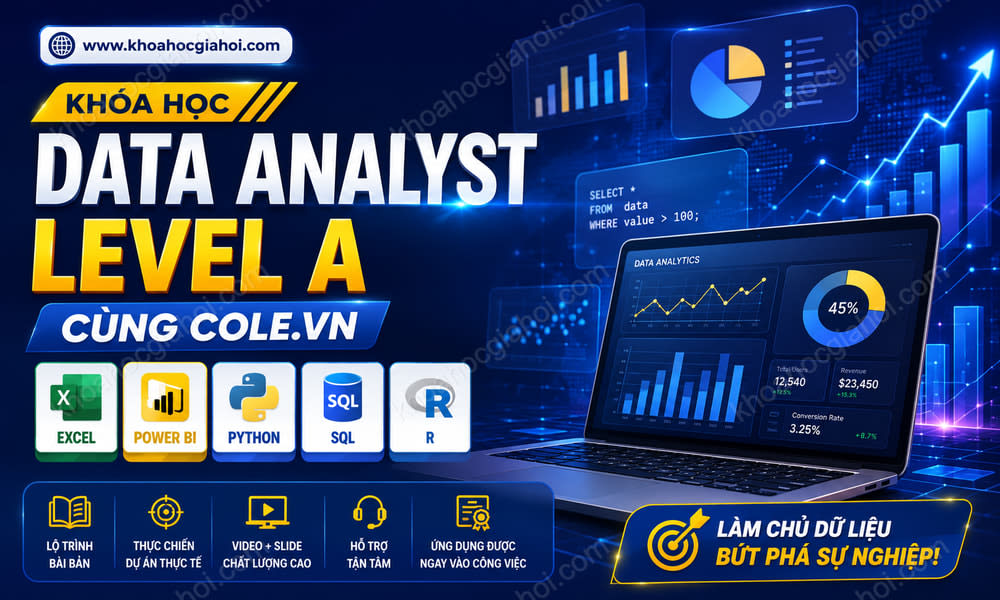 Khóa Học Data Analyst - Level A Cùng Cole.vn