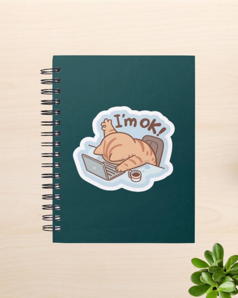 كشكول القطة