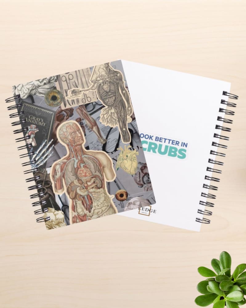 كشكول التشريح 